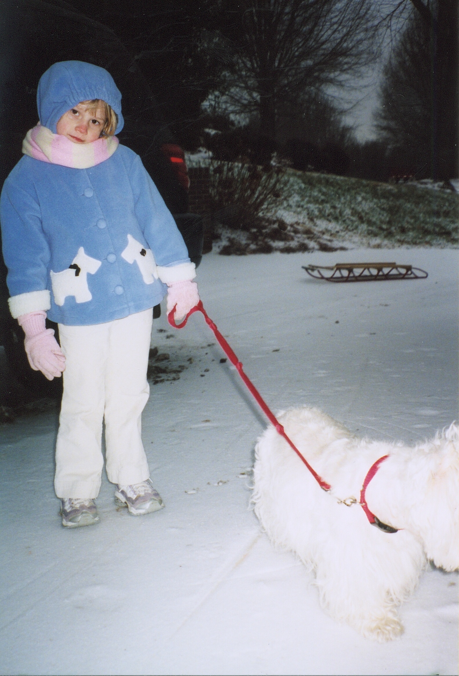 Taylor in the snow